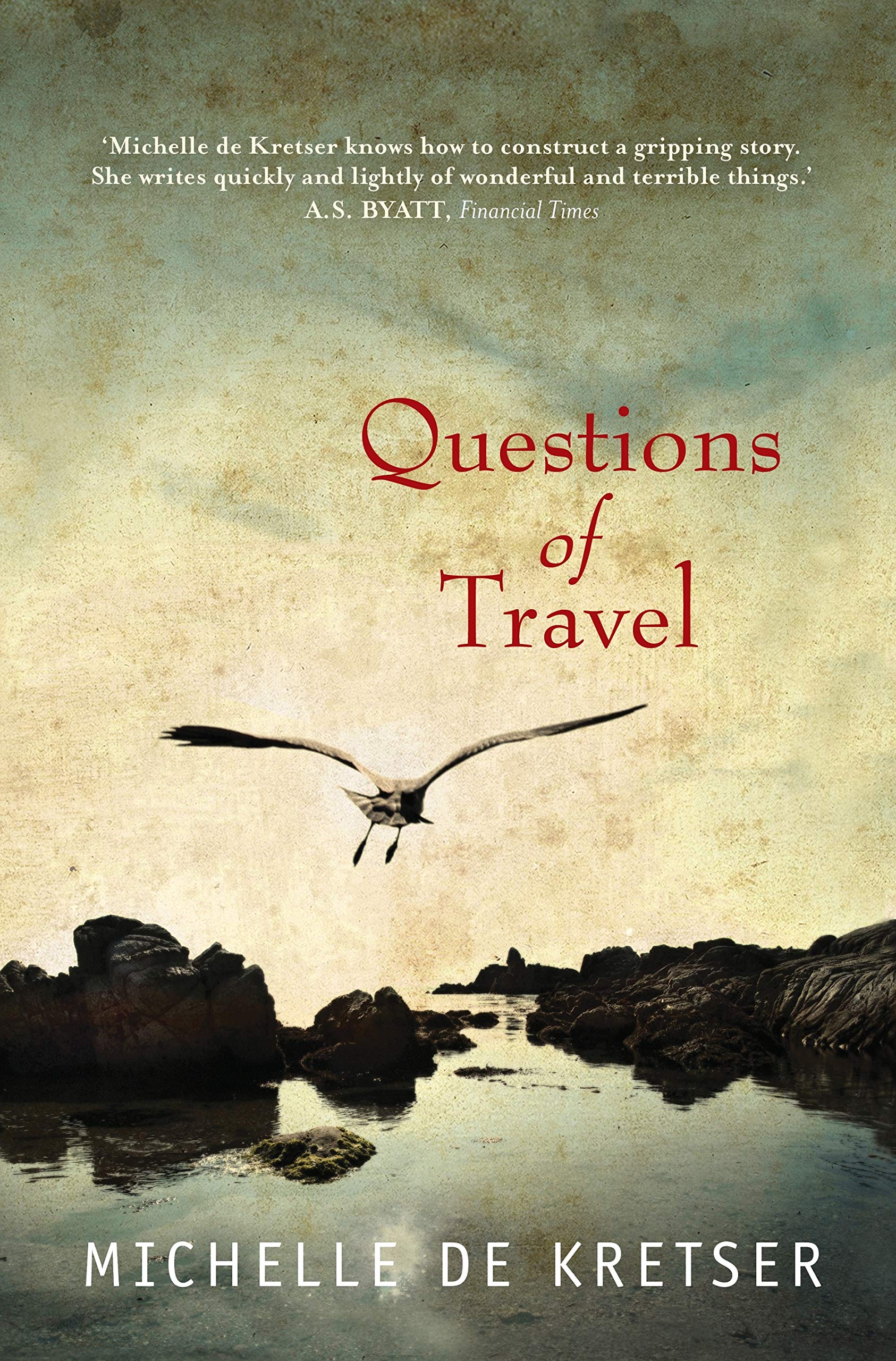 Questions of Travel book