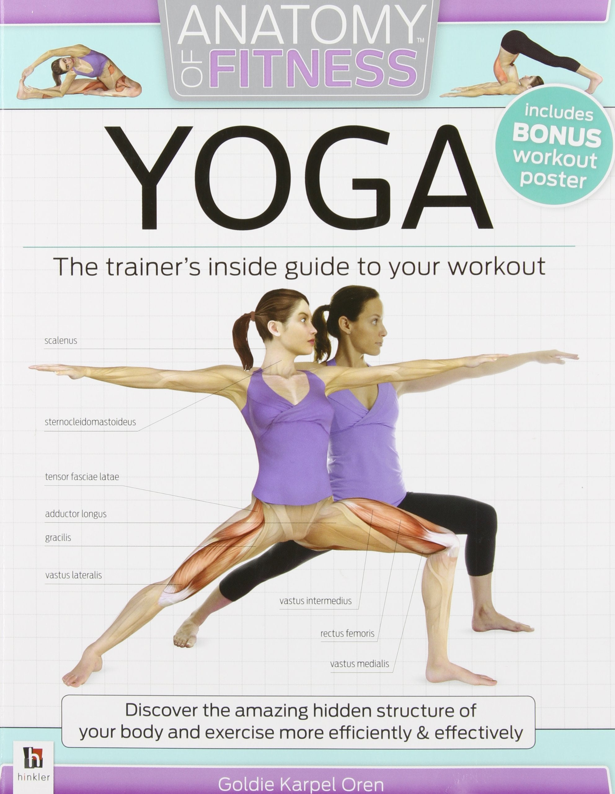 Anatomy of Fitness: YOGA - The Trainer's Inside Guide to your Workout Lifestyle