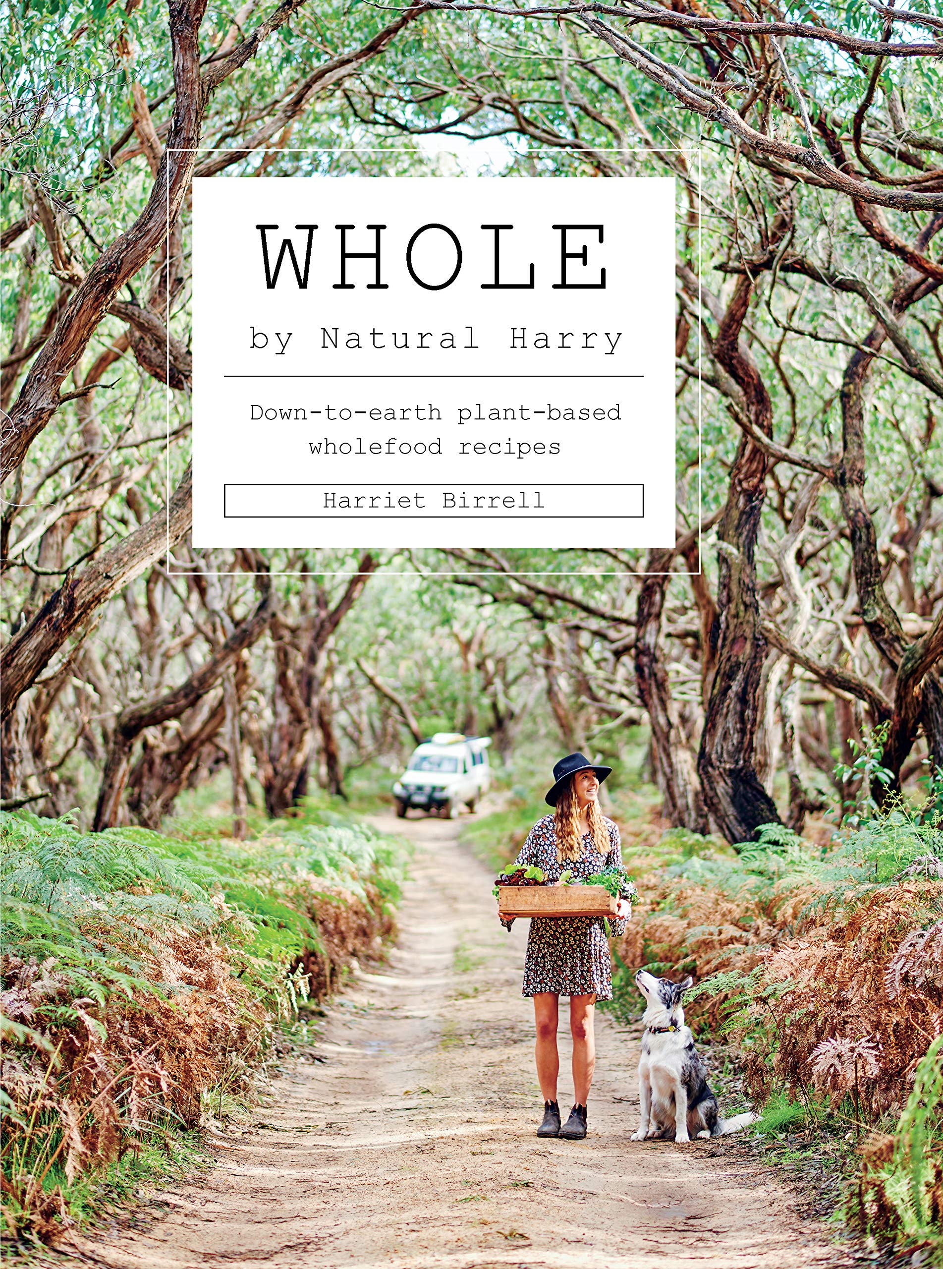 Whole: Down-to-earth plant-based wholefood recipes Leisure, Home & Garden