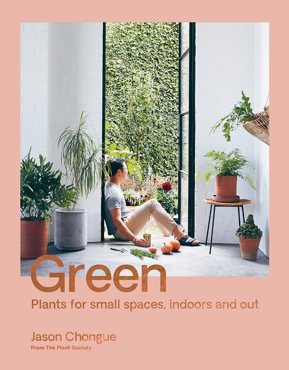 Green: Plants for small spaces, indoors and out Garden & Plants
