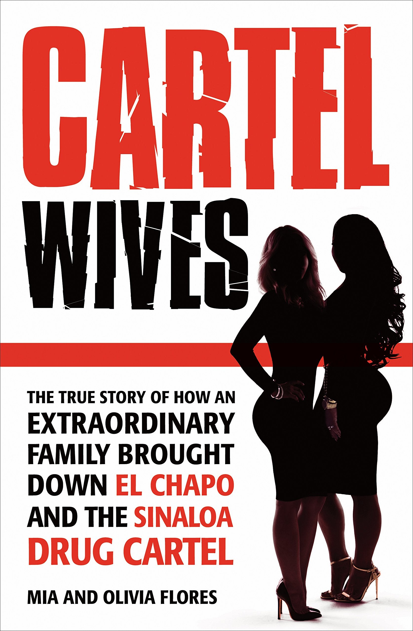 Cartel Wives: The True Story of How an Extraordinary Family Brought Down El Chapo and the Sinaloa Drug Cartel book