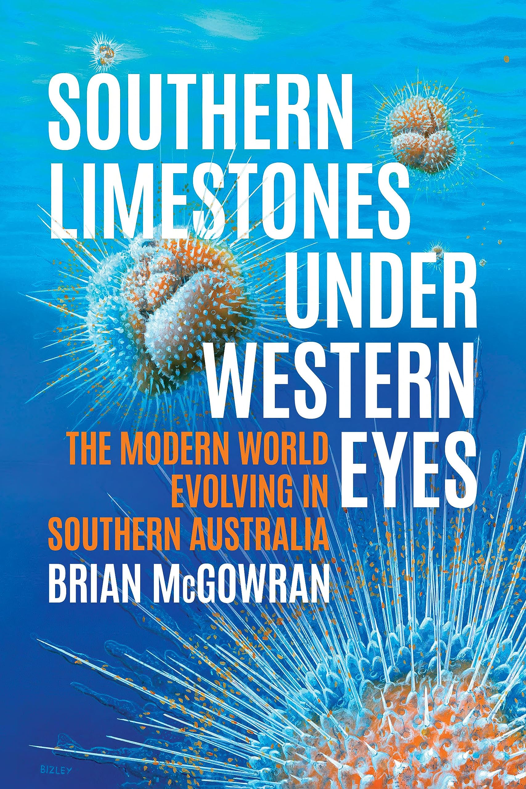 Southern Limestones under Western Eyes: The Modern World Evolving in Southern Australia book