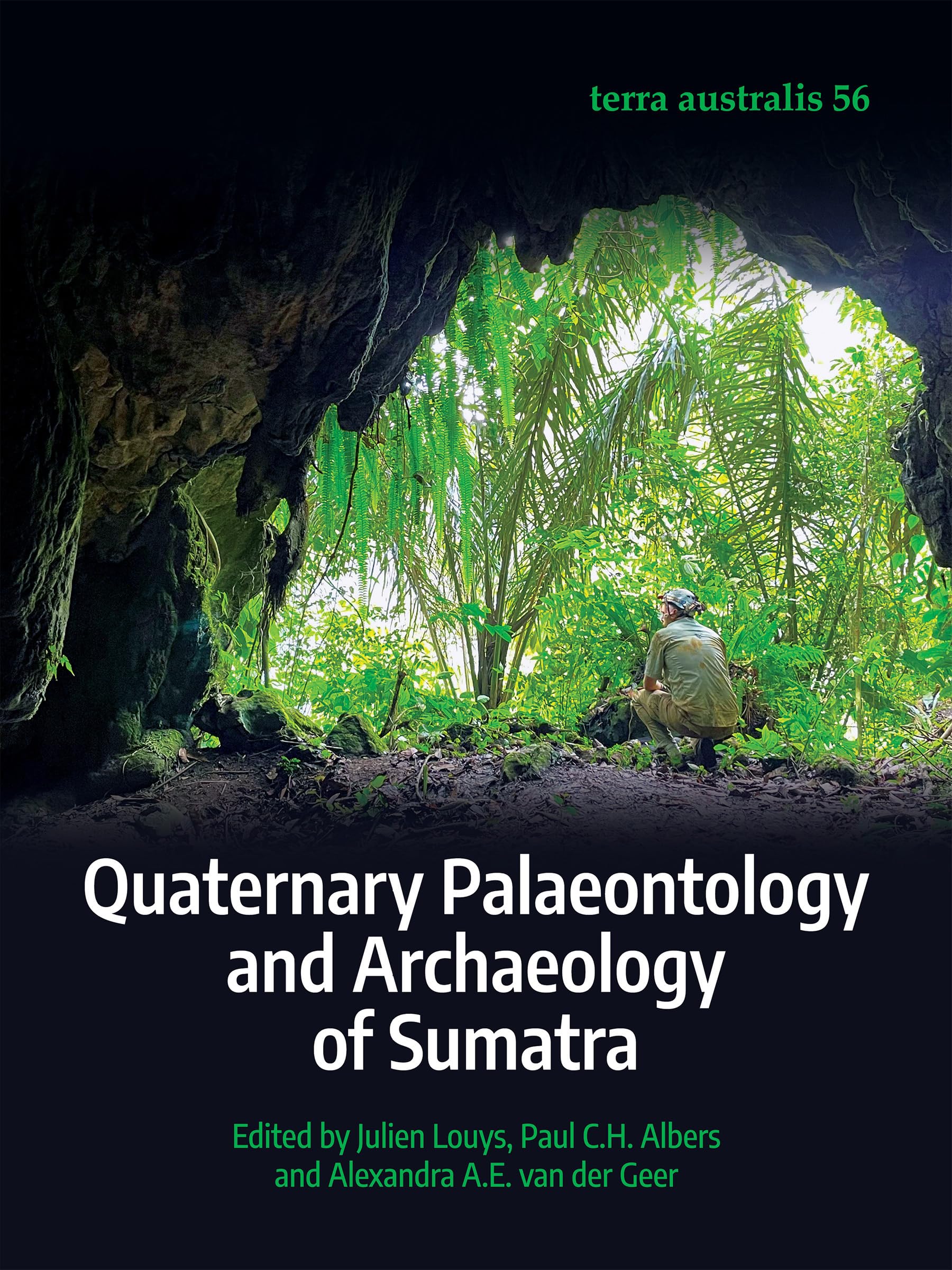 Quaternary Palaeontology and Archaeology of Sumatra book