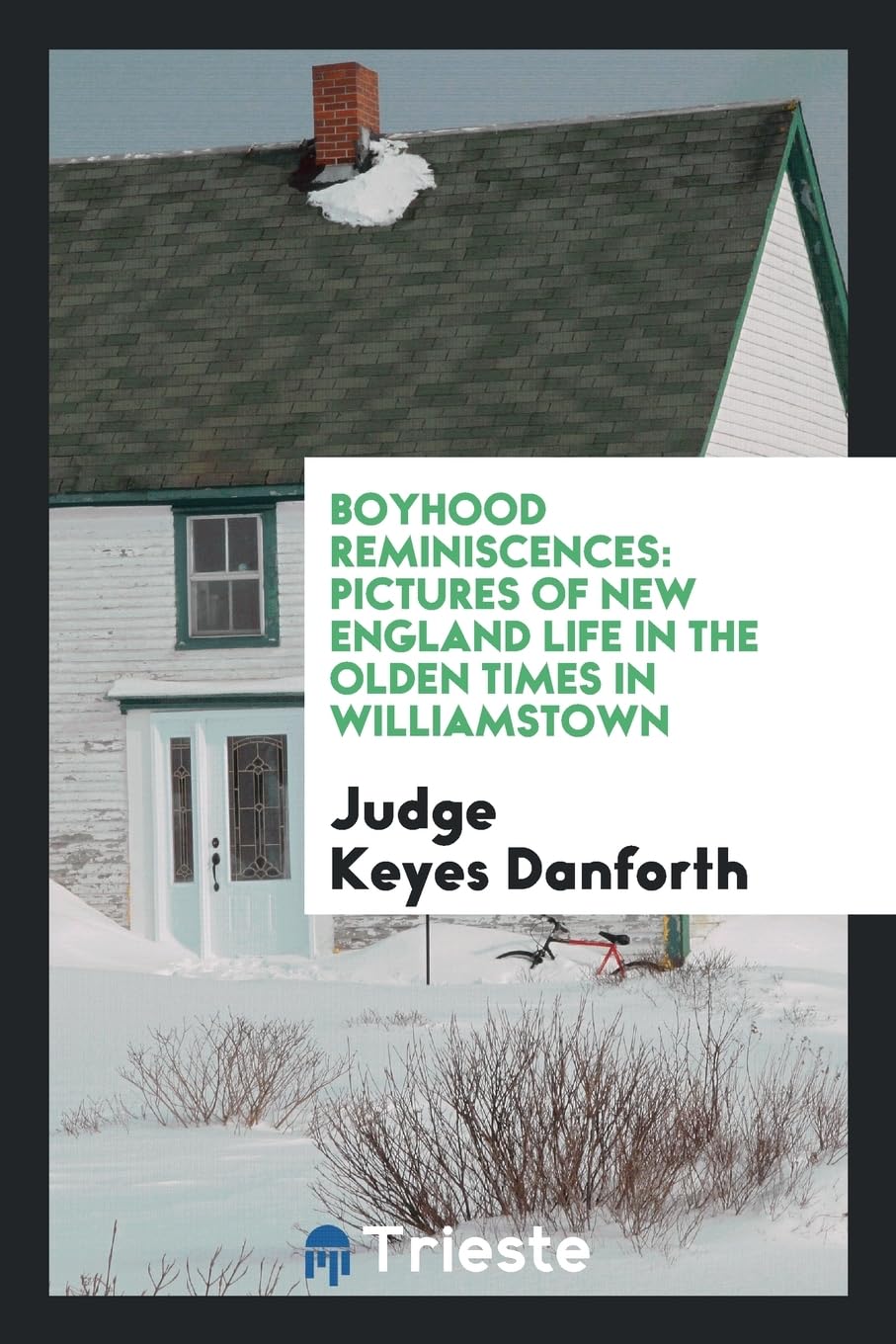 Boyhood Reminiscences: Pictures of New England Life in the Olden Times in Williamstown book