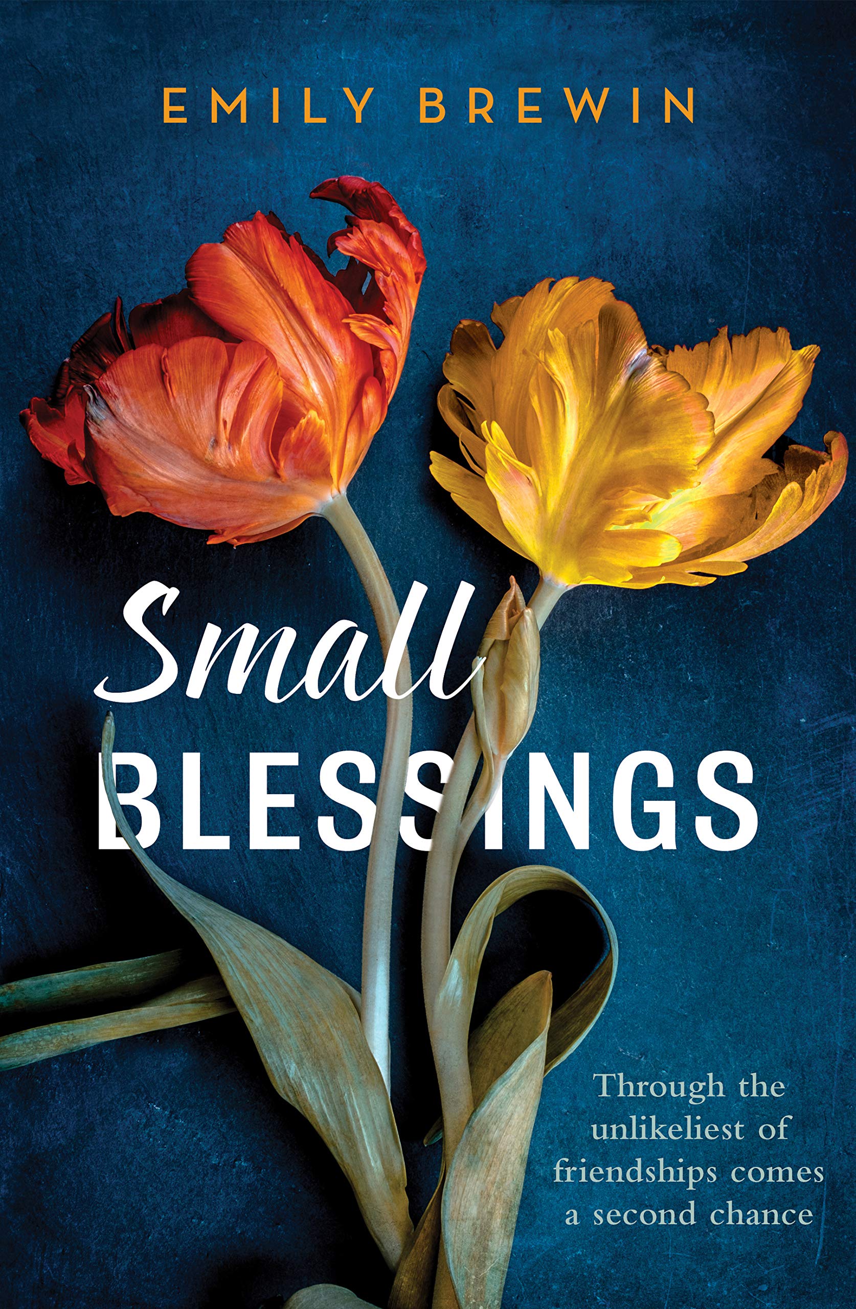 Small Blessings: Through the unlikeliest of friendships comes a second chance book