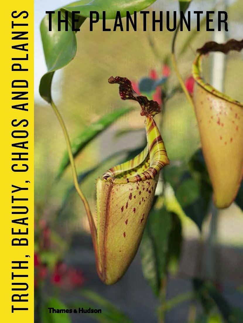 The Planthunter: Truth, Beauty, Chaos and Plants Film, Art & Culture