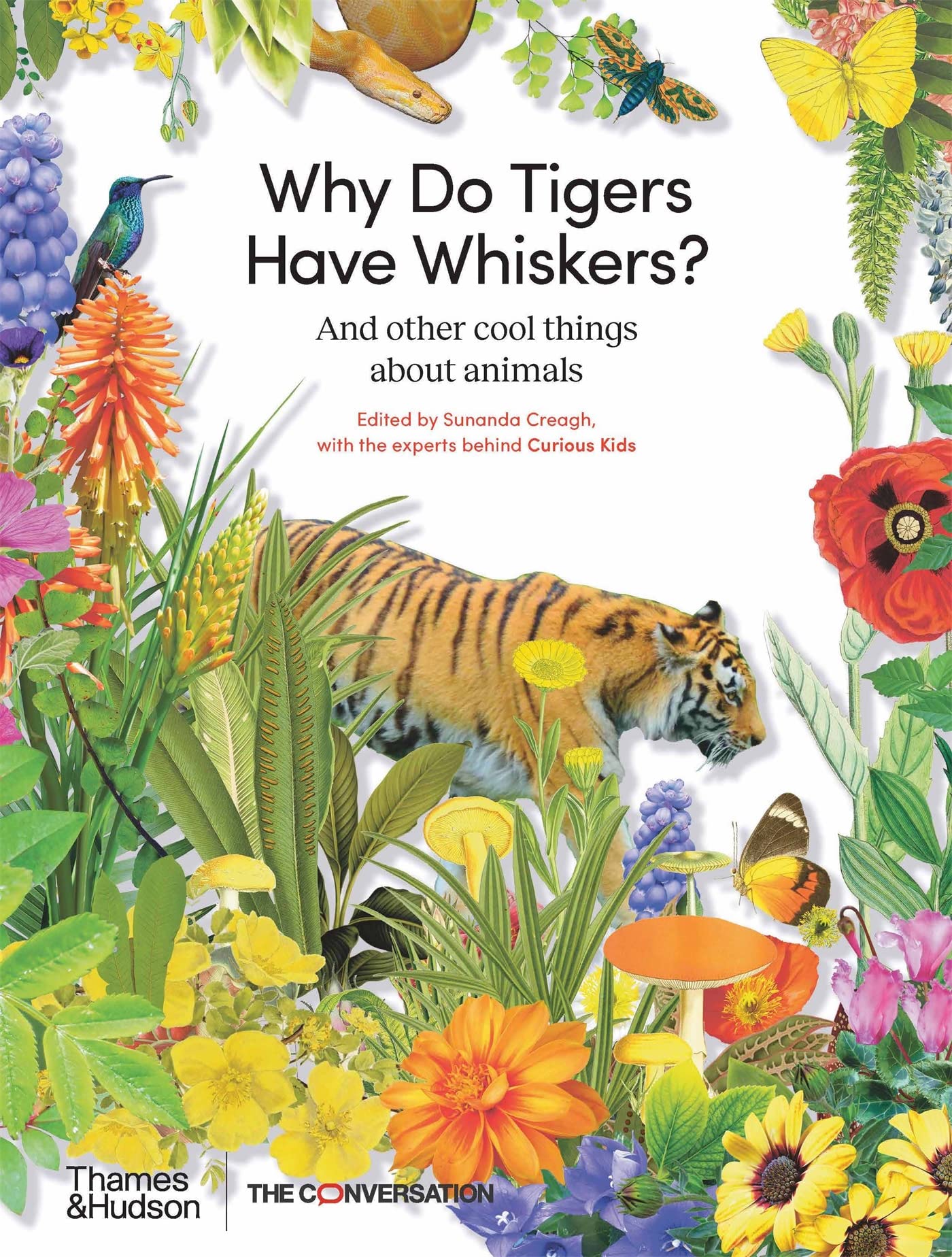 Why Do Tigers Have Whiskers?: And Other Cool Things About Animals Tiptoi & Games