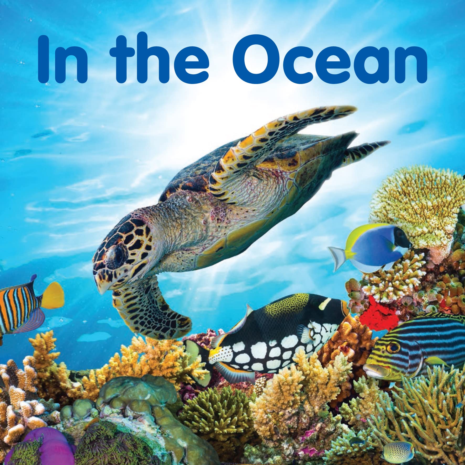 In the Ocean book