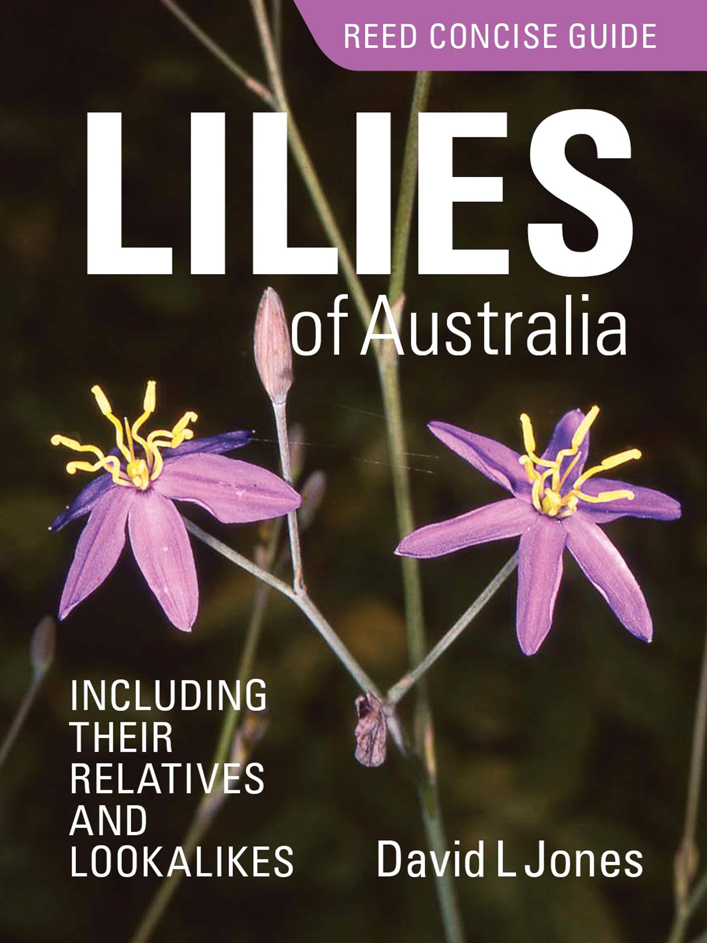 Reed Concise Guide: Lilies of Australia: including their relatives and lookalikes book