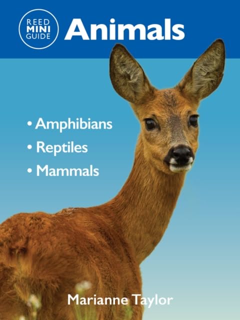 Reed Mini Guide: Animals: Amphibians l Reptiles l Mammals book