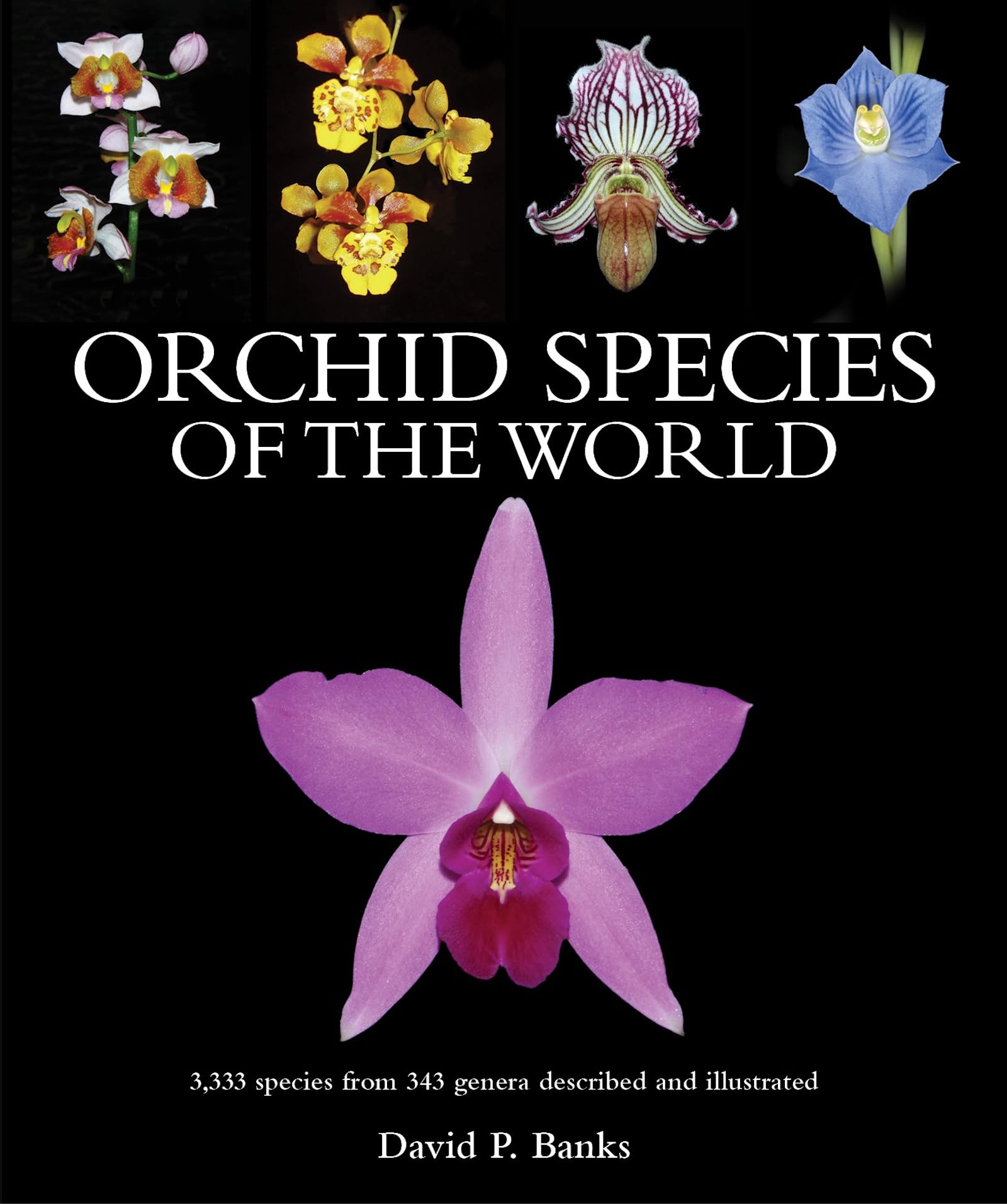 Orchid Species of the World: 3,333 Species from 343 Genera Described and Illustrated book