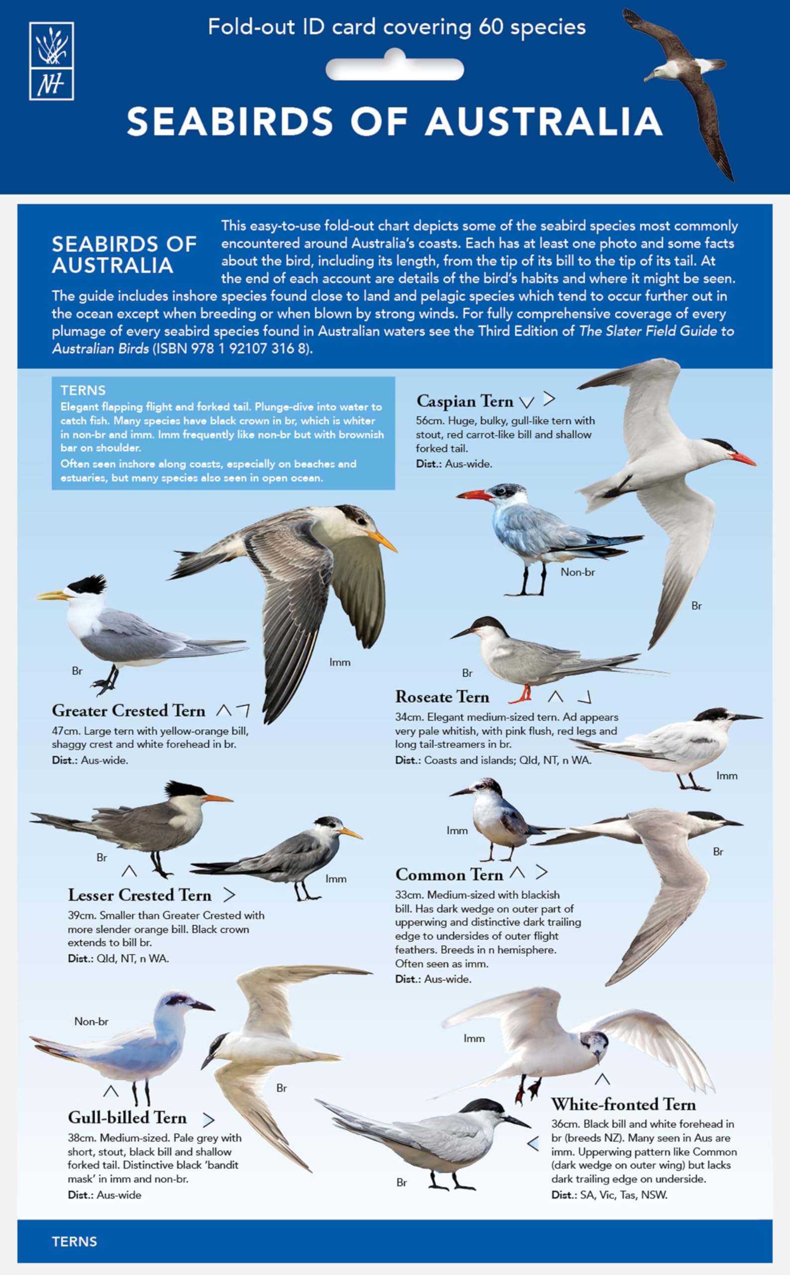 Seabirds of Australia: Fold-out ID chart covering 60 species book