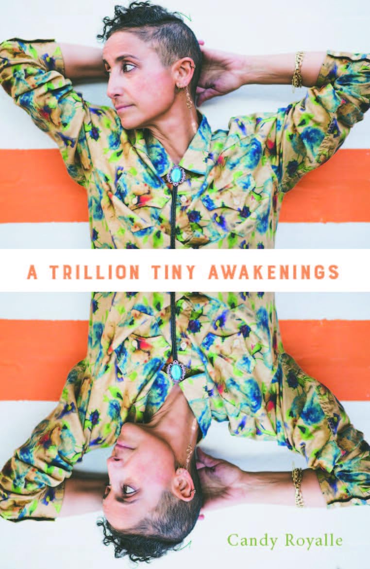 Product Image: A trillion tiny awakenings
