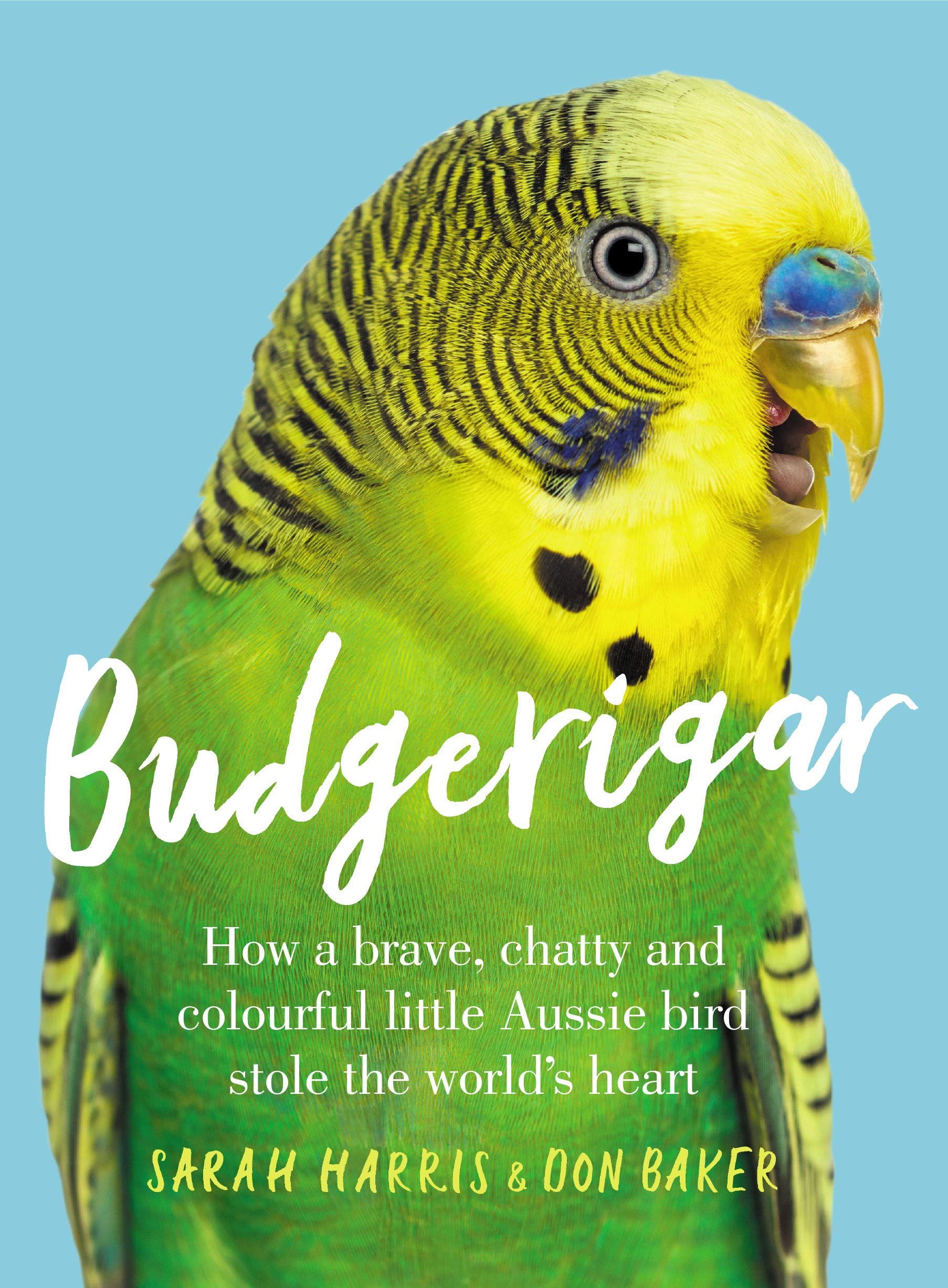 Budgerigar: How a Brave, Chatty and Colourful Little Aussie Bird Stole the World's Heart Mathematics