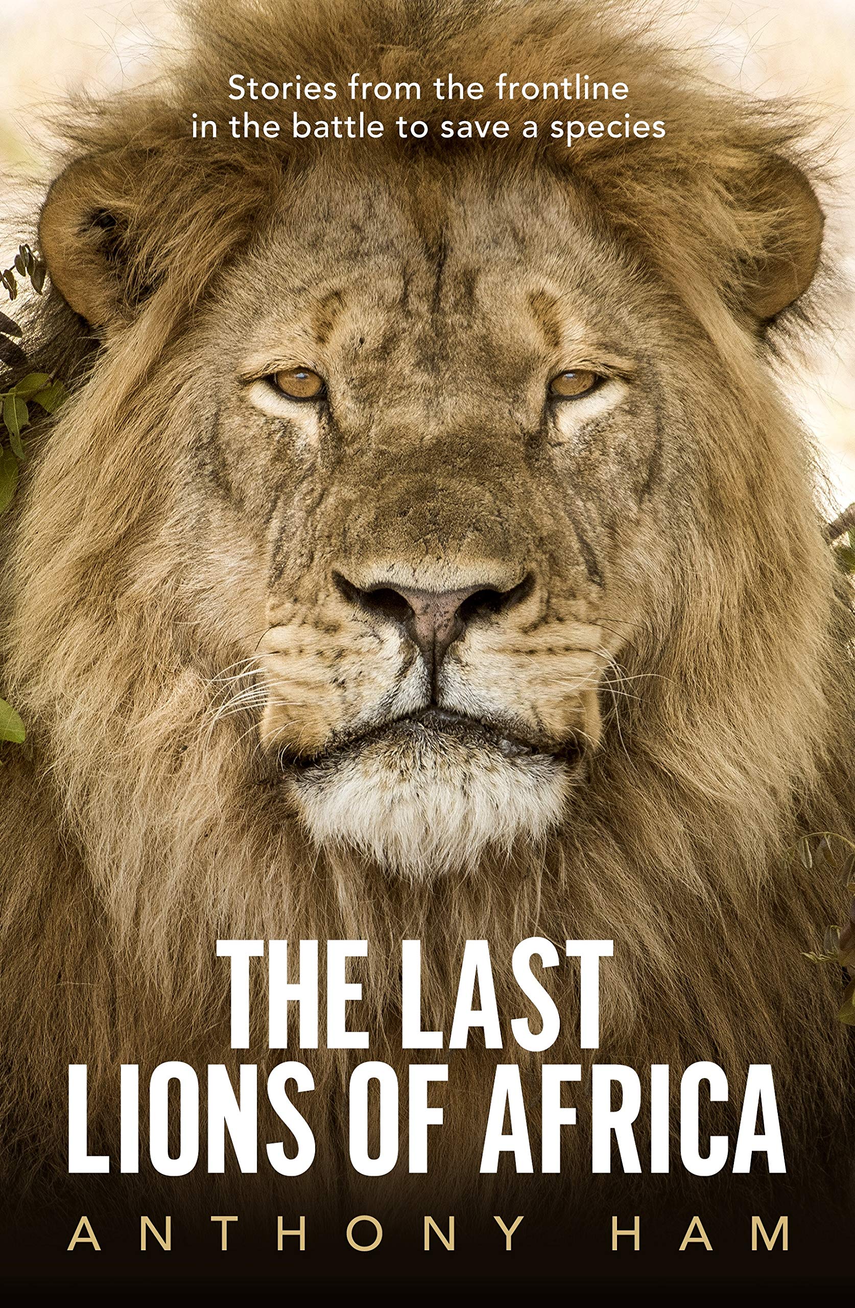 The Last Lions of Africa: Stories from the Frontline in the Battle to Save a Species book