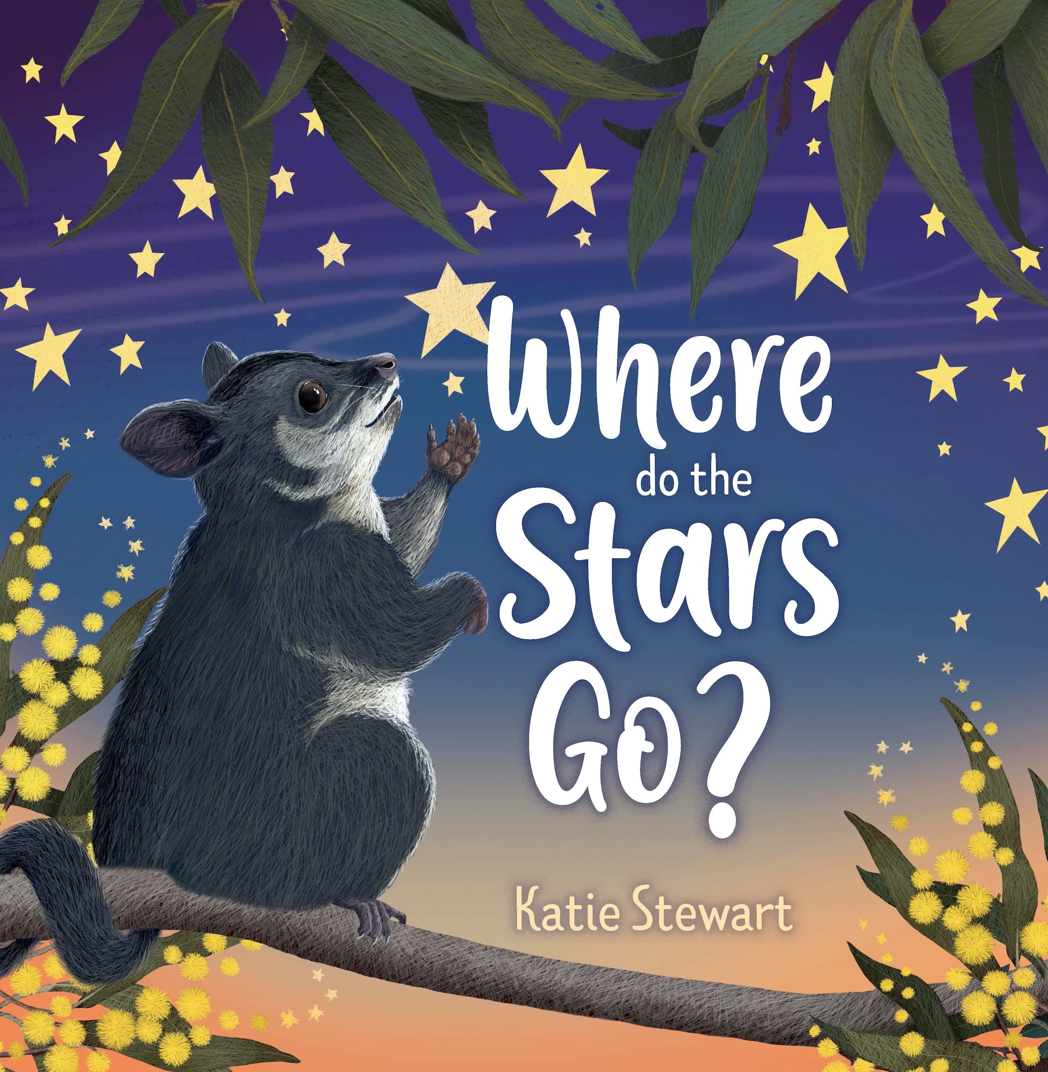 Where do the stars go?: An Australian animal story about opinions book