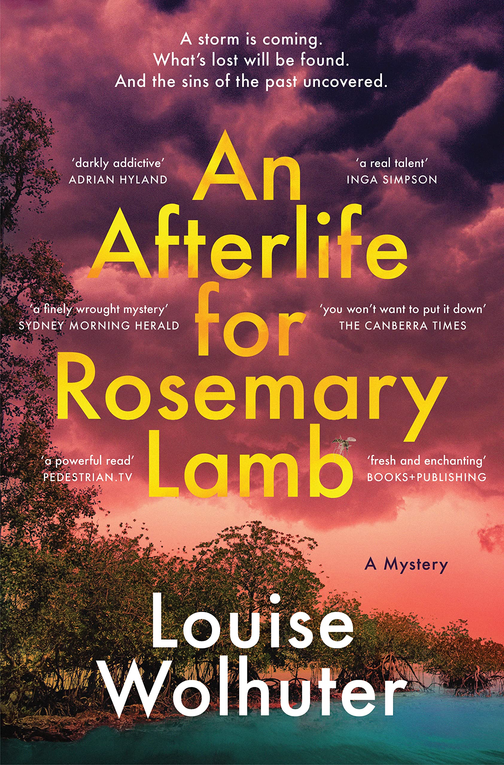 An Afterlife for Rosemary Lamb Contemporary literature
