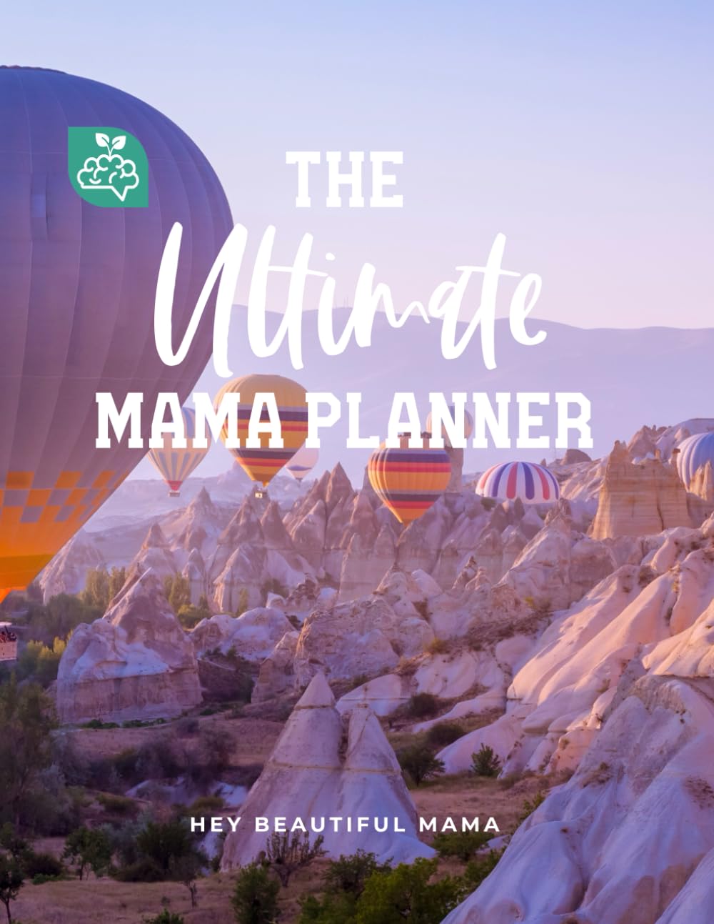 The Ultimate Mama Planner: Cultivate a Loving Legacy book