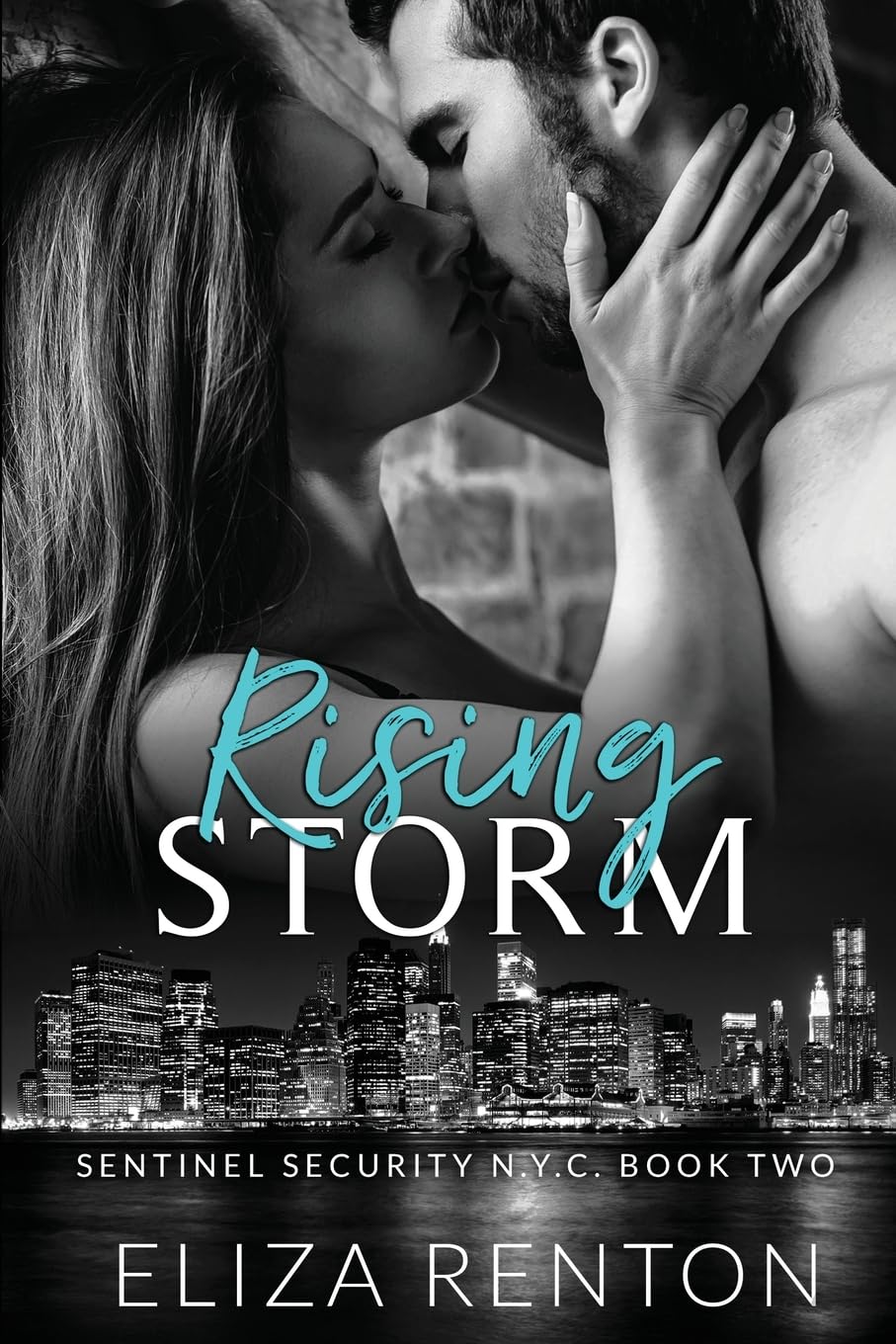 Rising Storm Sentinel Security N.Y.C. Book 2 book