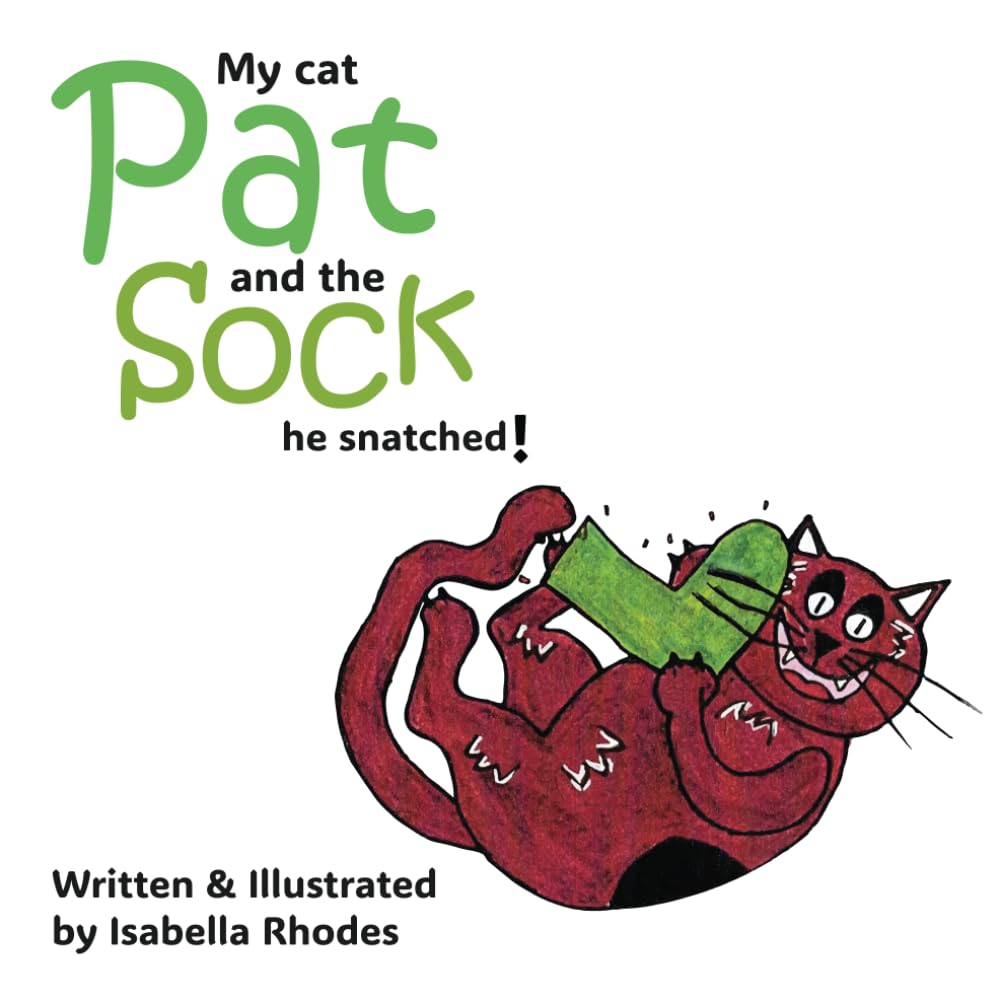 My cat Pat and the Sock he snatched! book