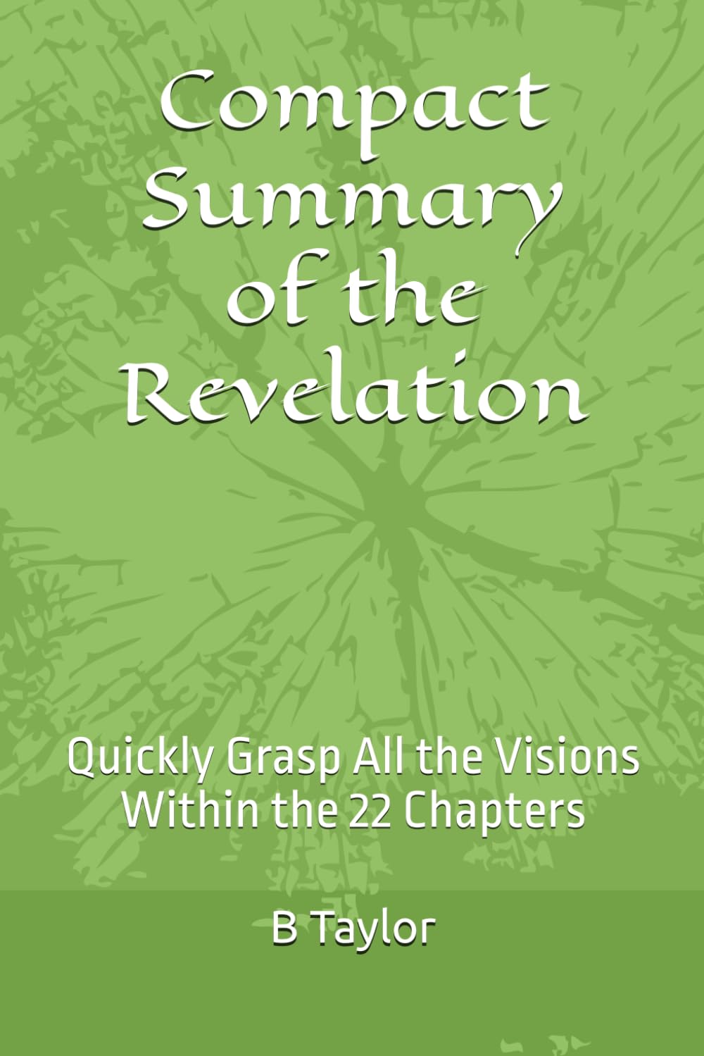 Compact Summary of the Revelation: Quickly Grasp All the Visions Within the 22 Chapters book