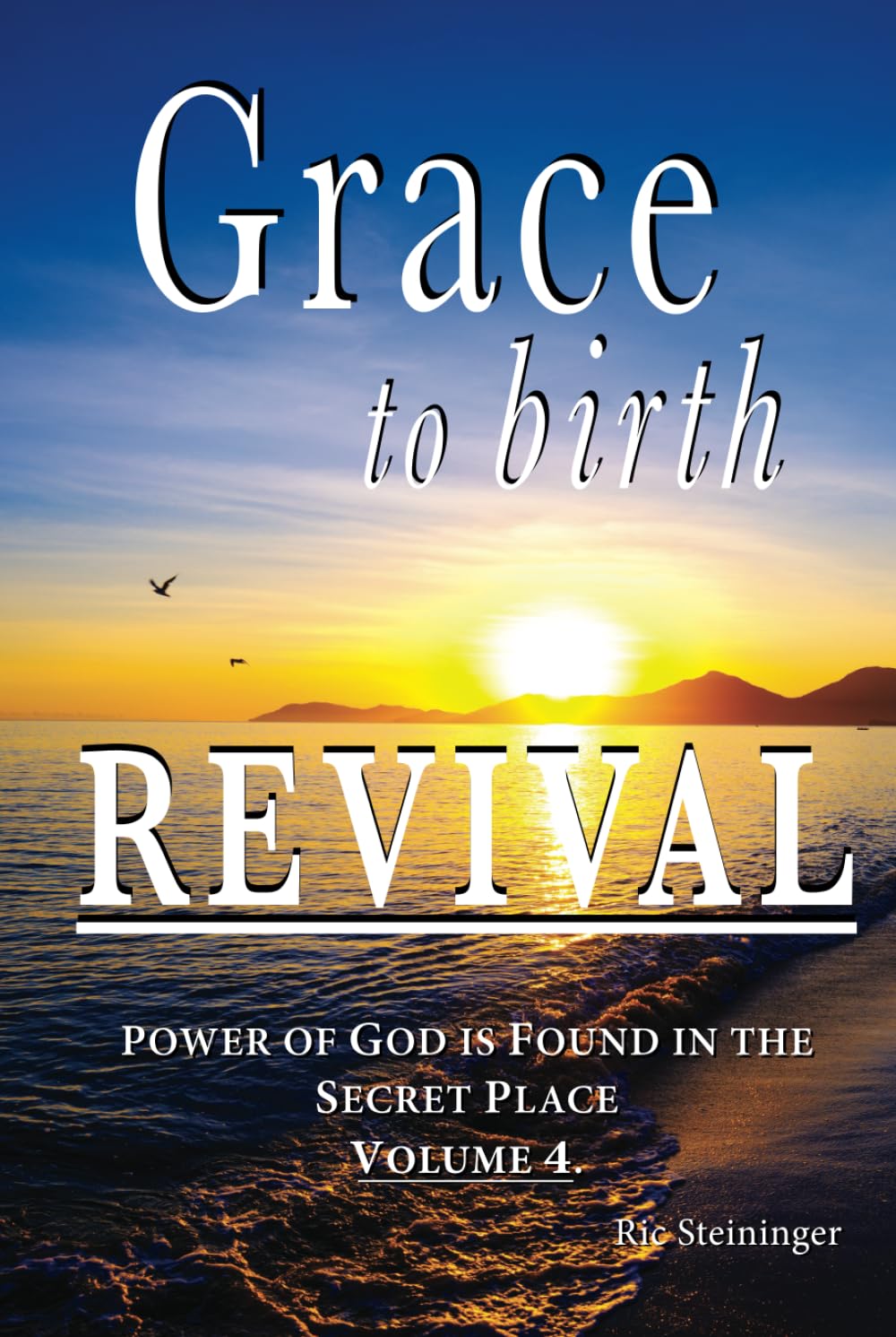 Grace to Birth Revival: Power of God is Found in the Secret Place Volume 4 book