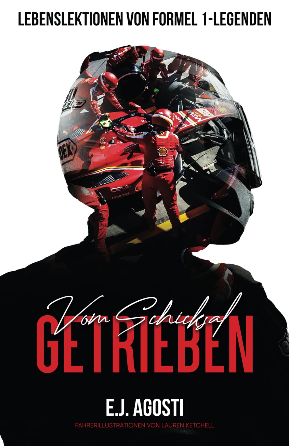 Vom Schicksal getrieben: Lebenslektionen von Formel 1-Legenden book