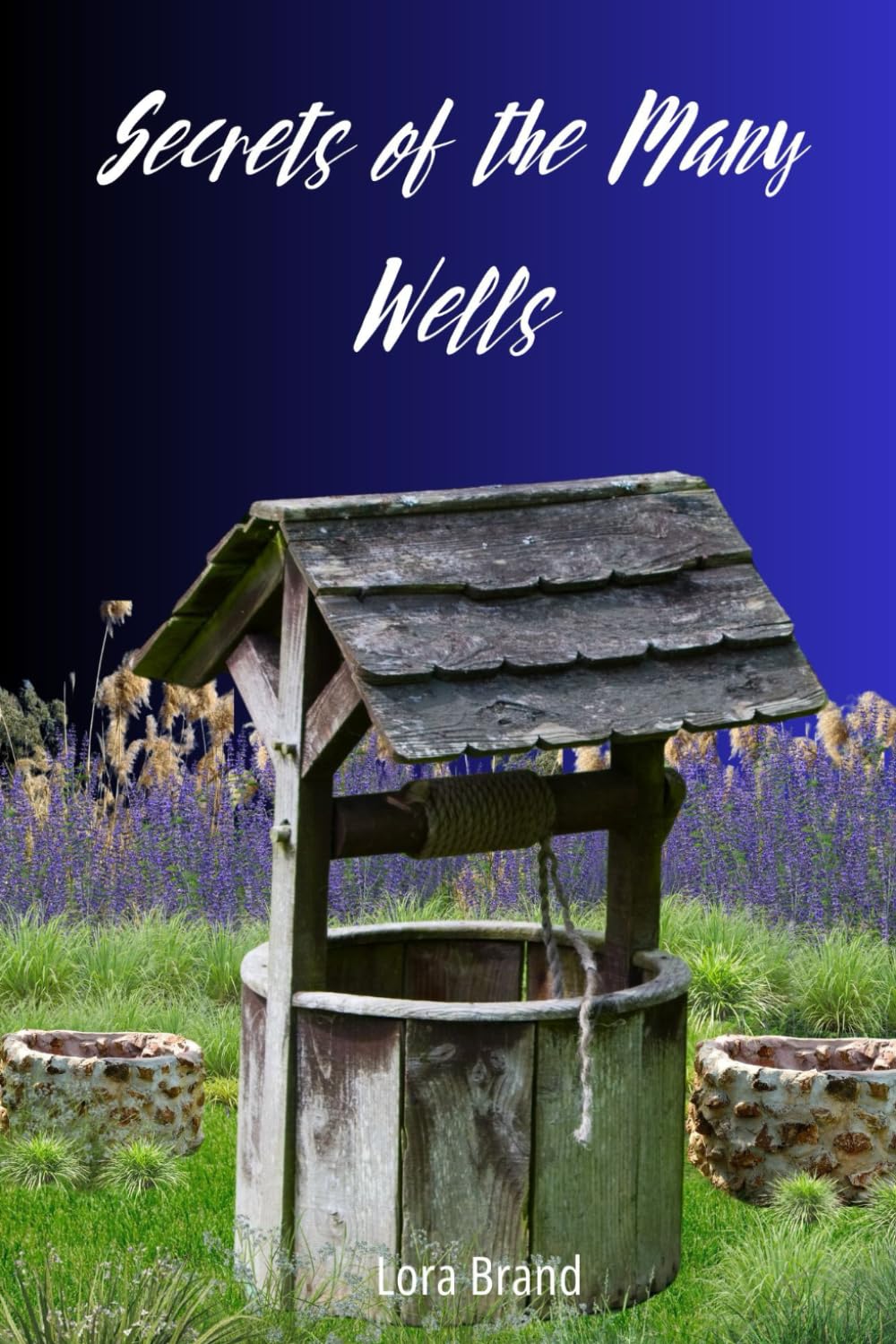 Secrets of the Many Wells Business, Finance & Career