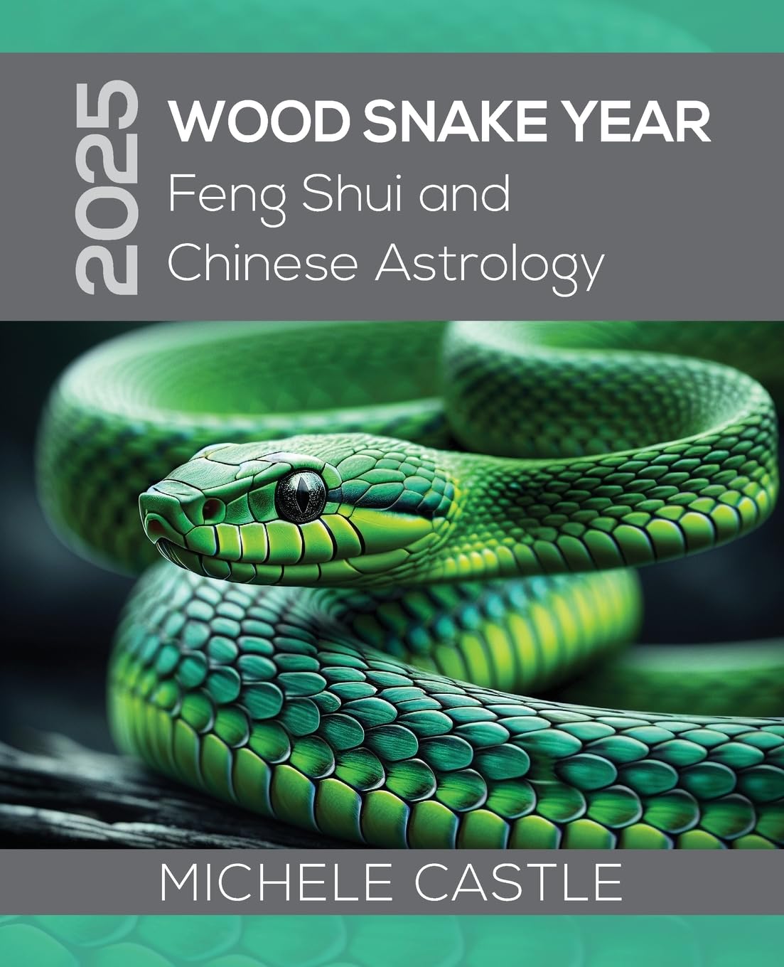 2025 Wood Snake Year: Feng Shui and Chinese Astrology book