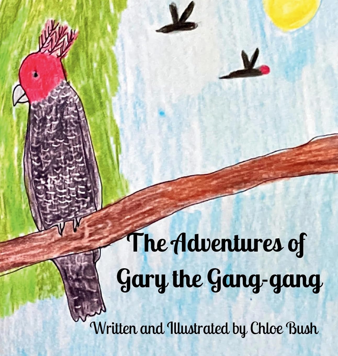 The Adventure of Gary the Gang-gang book