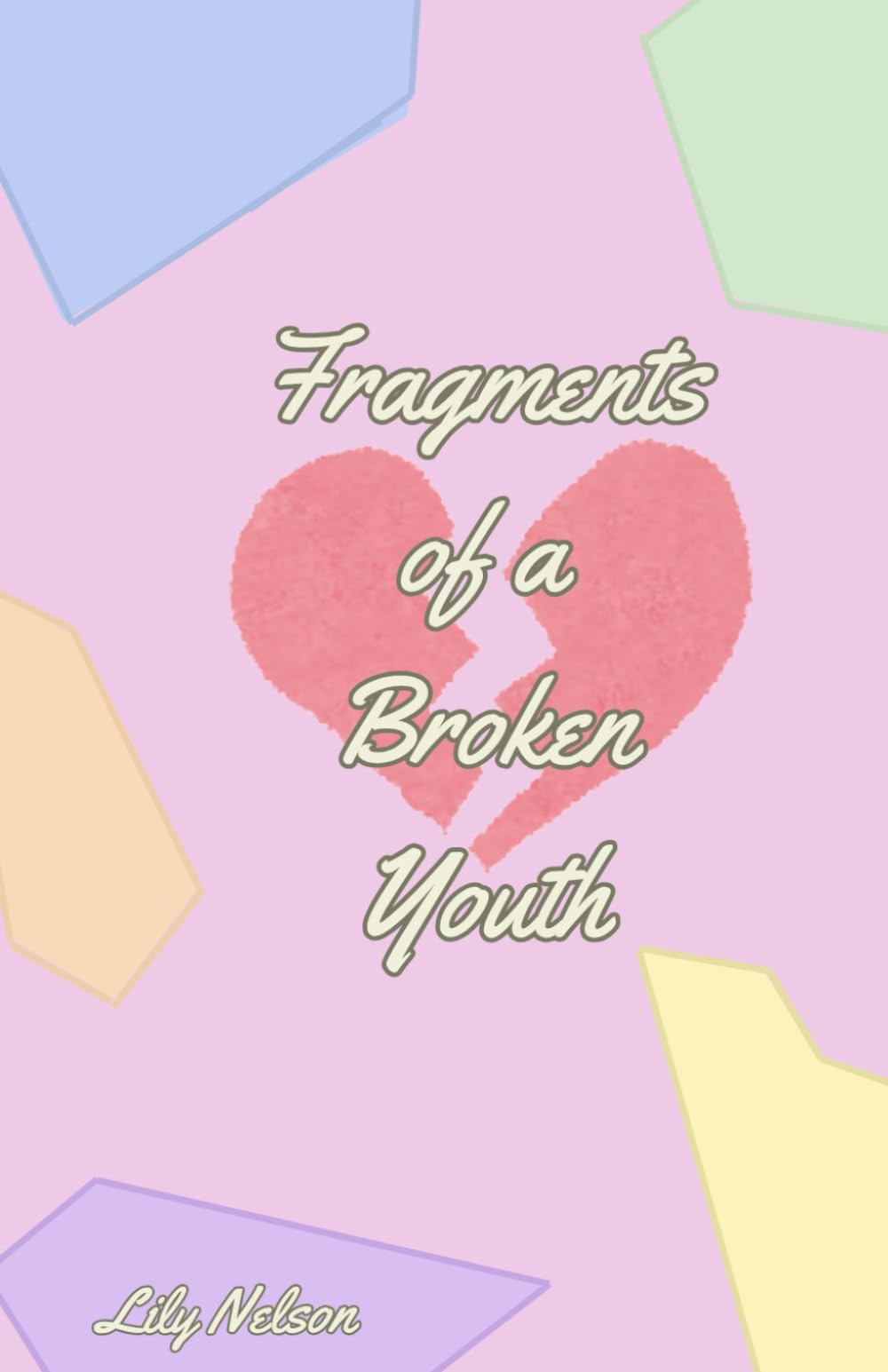 Fragments of a Broken Youth book