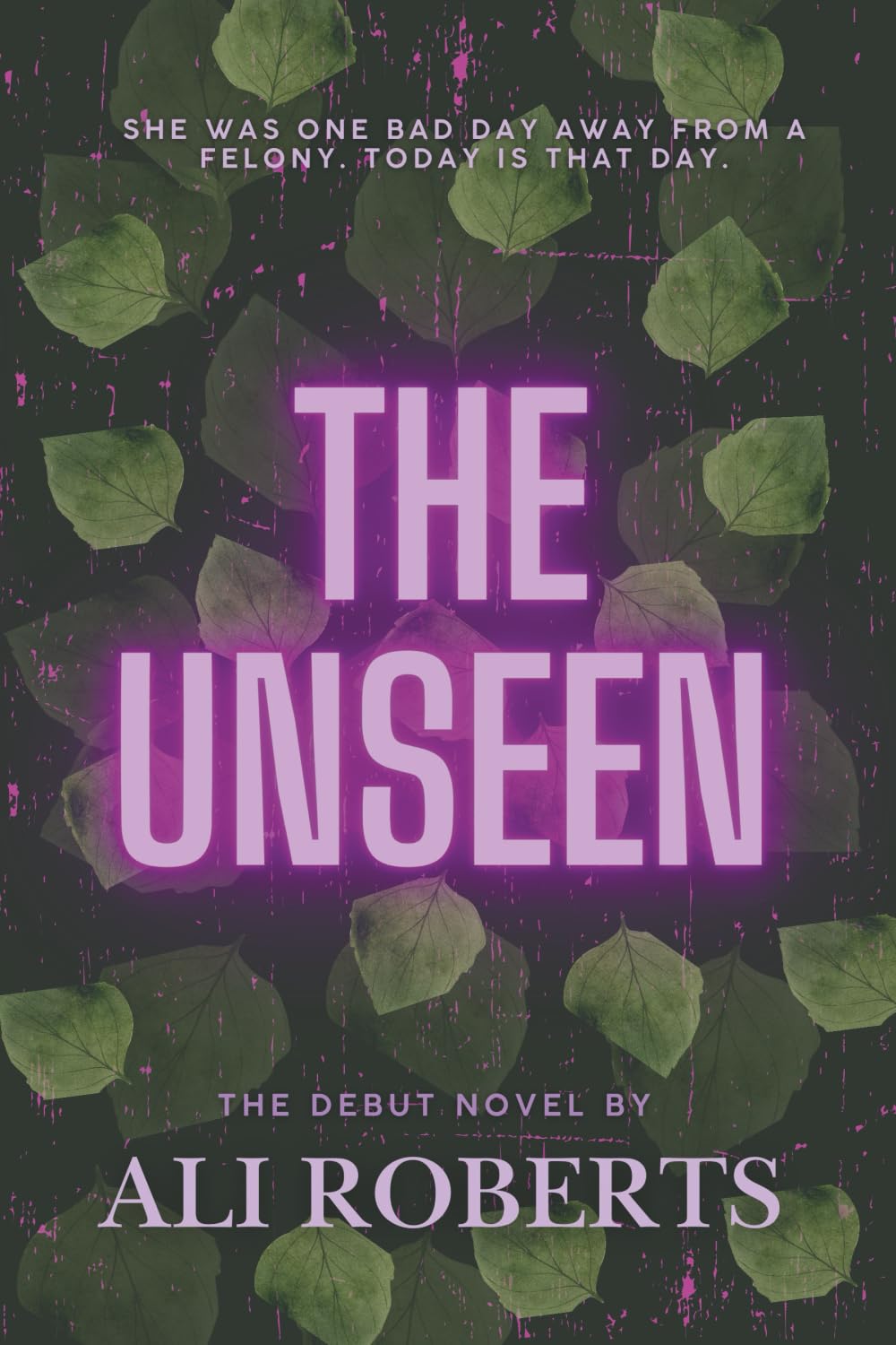 The Unseen: She was one bad day away from a felony. Today is that day. Contemporary Romance