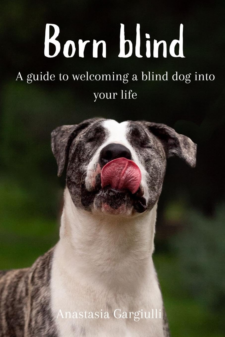 Born Blind. A Guide To Welcoming a Blind Dog Into Your Life Pets