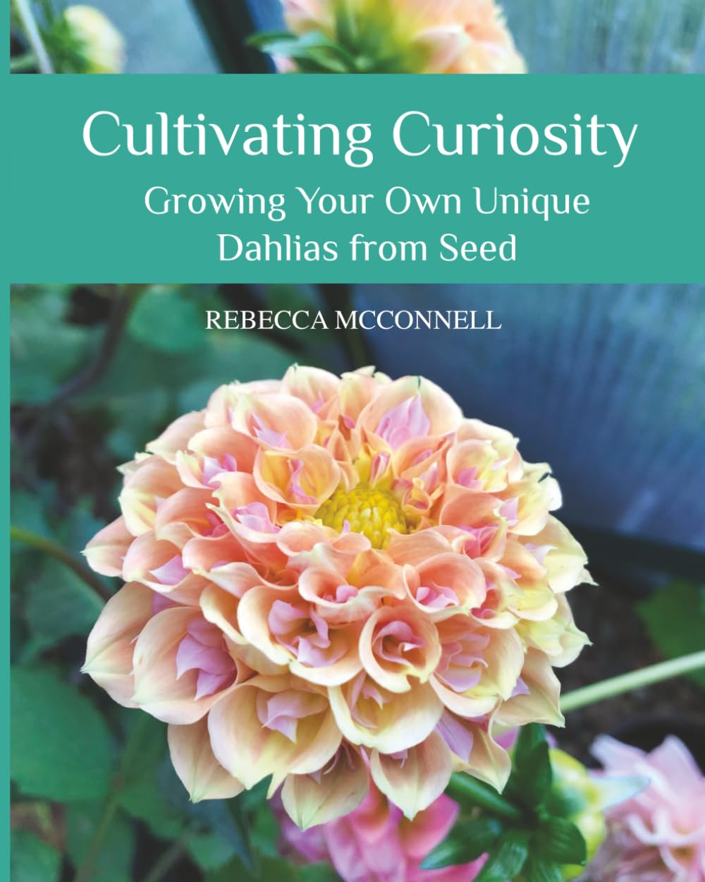 Cultivating Curiosity: Growing Your Own Unique Dahlias from Seed Hobbies & Crafts