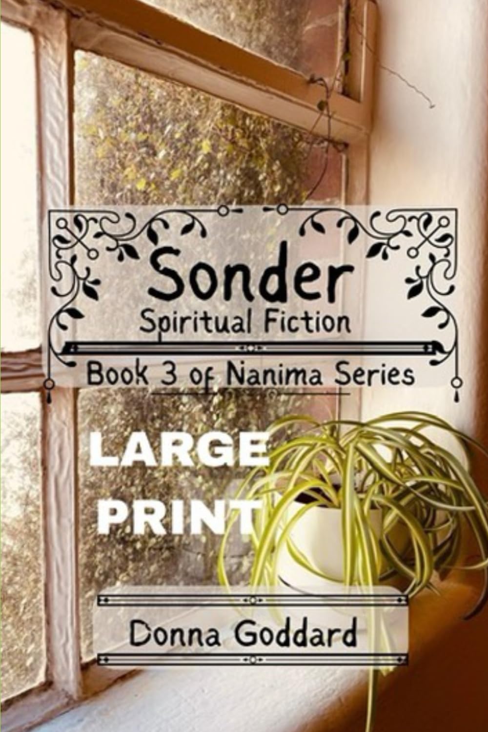 Sonder Contemporary literature