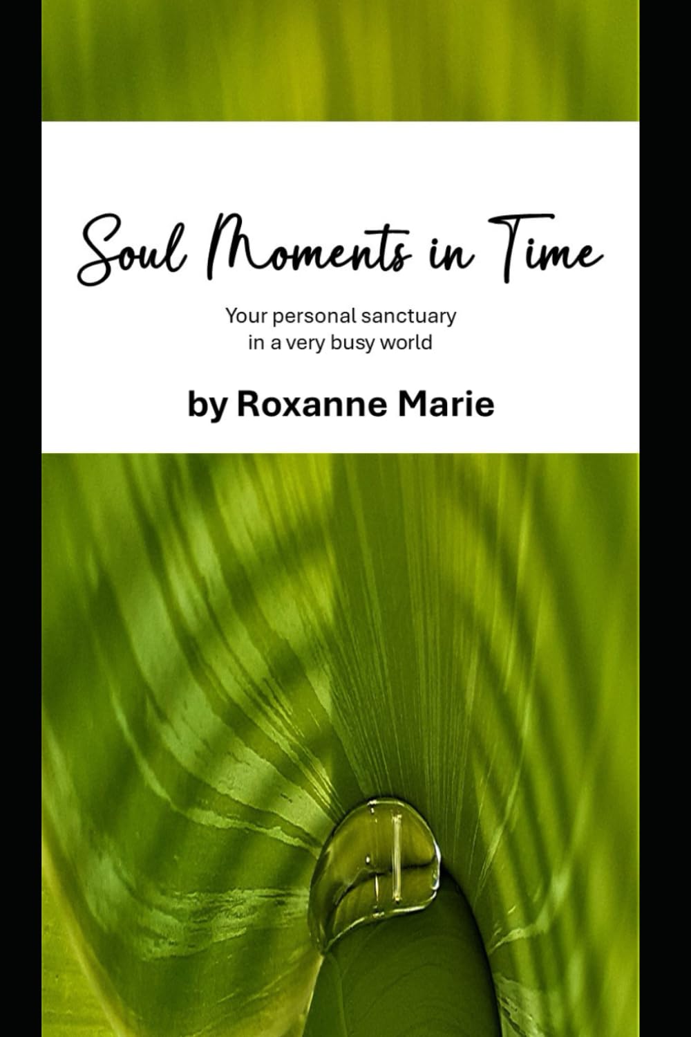 Soul Moments in Time: Your personal sanctuary in a very busy world book