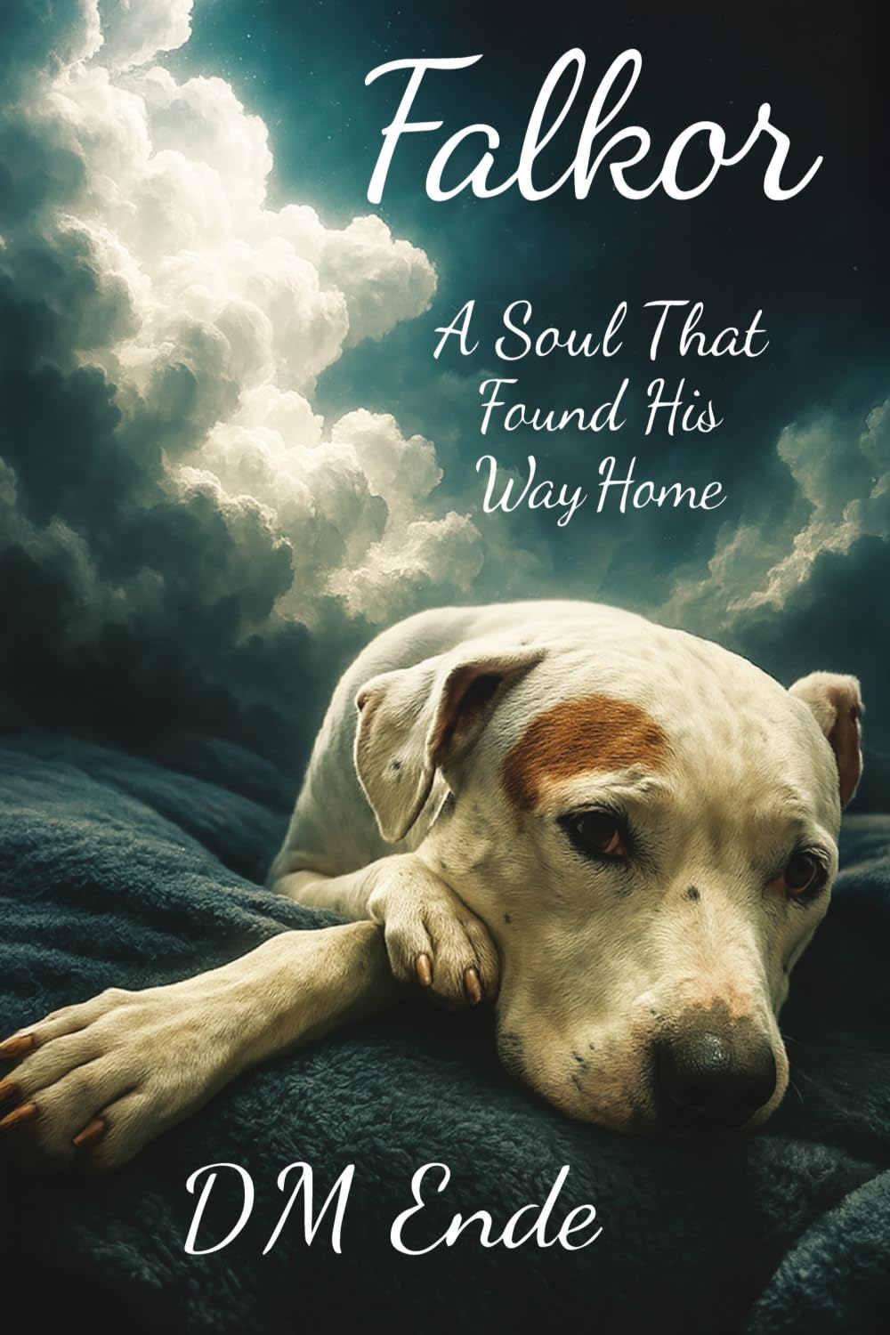 Falkor A Soul That Found His Way Home Art & Literature
