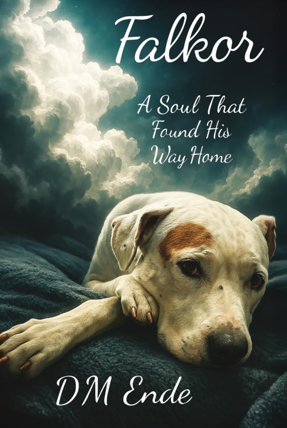 Falkor A Soul That Found His Way Home Art & Literature