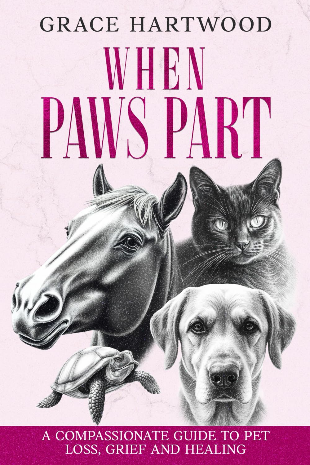 When Paws Part: A Compassionate Guide to Pet Loss, Grief and Healing book