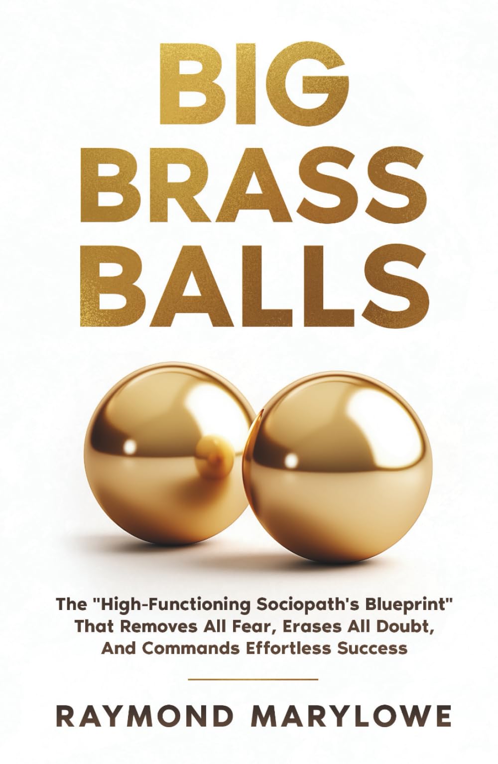 Big Brass Balls: The "High-Functioning Sociopath's Blueprint" That Removes All Fear, Erases All Doubt, And Commands Effortless Success book