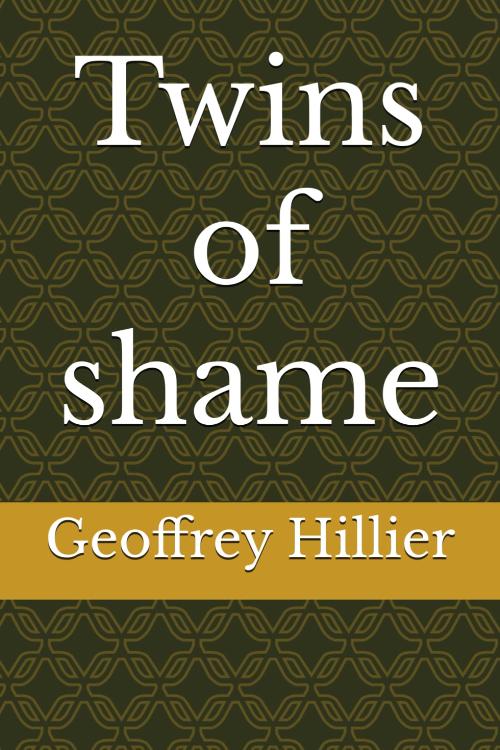 Twins of shame book