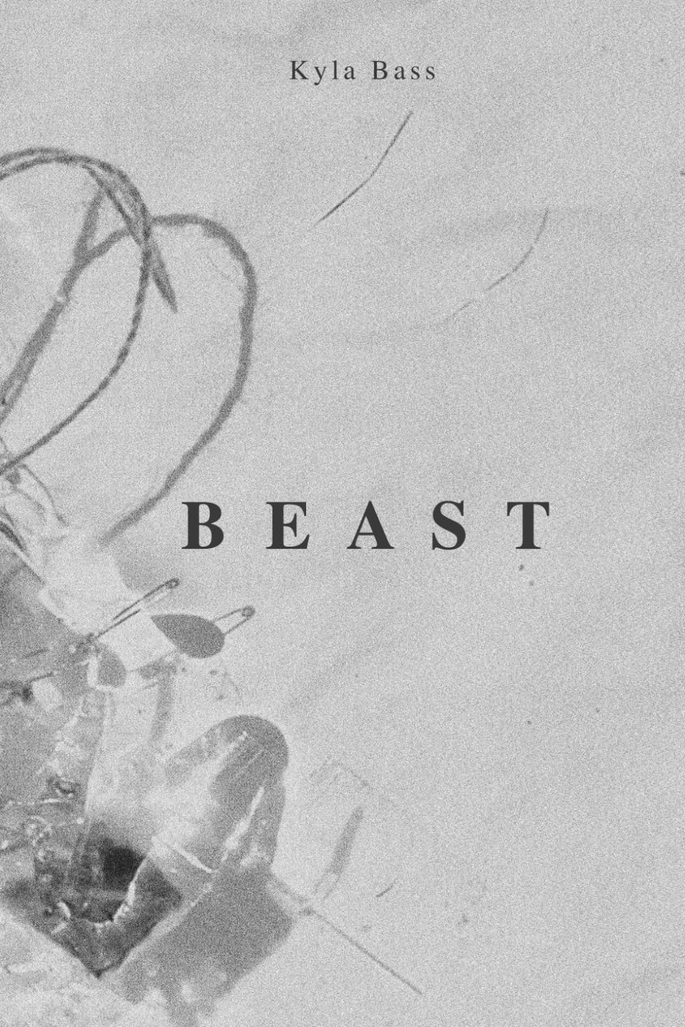 Beast: ugly, horrid and beautiful book