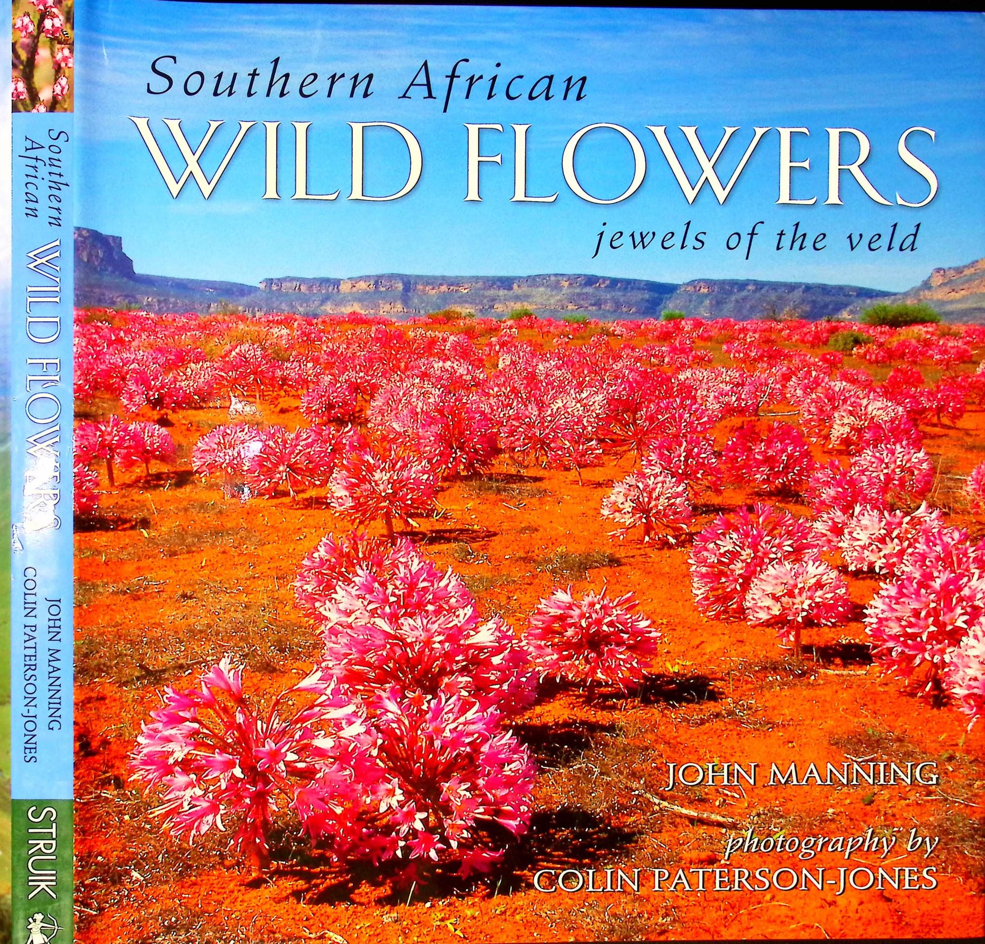 Southern Africa Wildflowers: Jewels of the Veld Mathematics