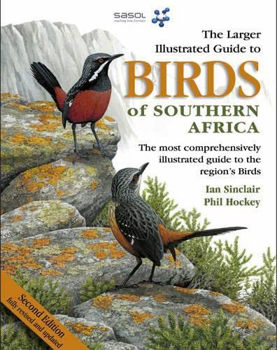 Larger Illustrated Guide to Birds of Southern Africa Mathematics