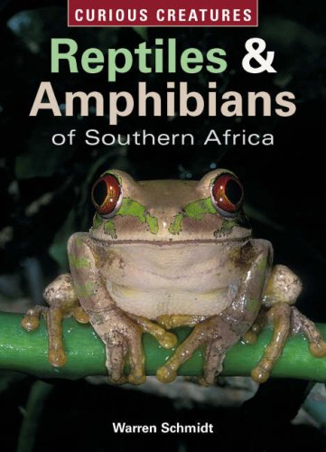 Reptiles and Amphibians of Southern Africa (Curious Creatures S.) Natural Sciences