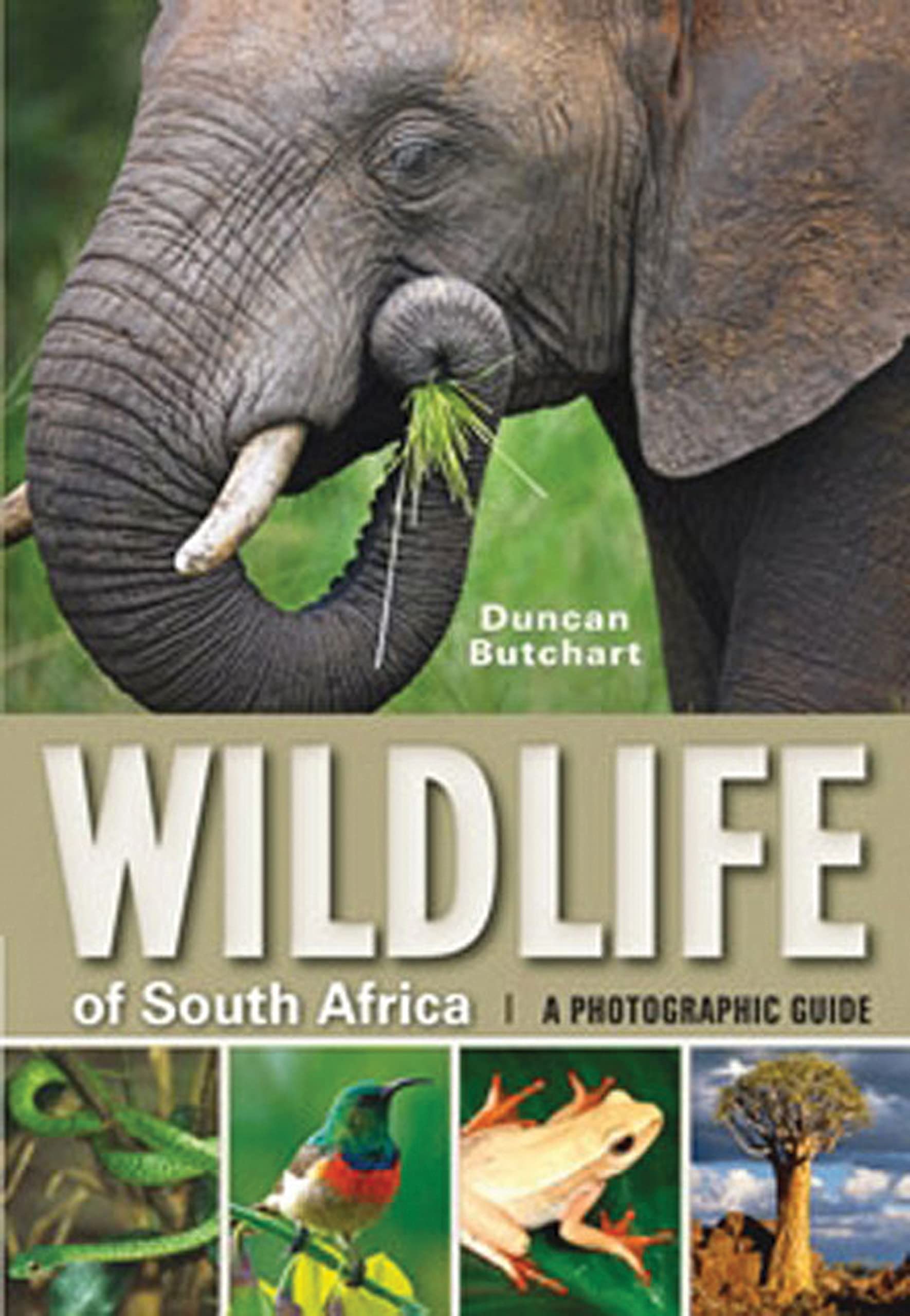 Wildlife of South Africa: A Photographic Guide Mathematics