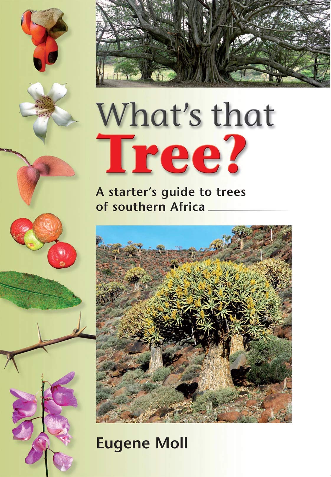 What s That Tree?: A Beginner s Guide to the Trees of Southern Africa Politics & History
