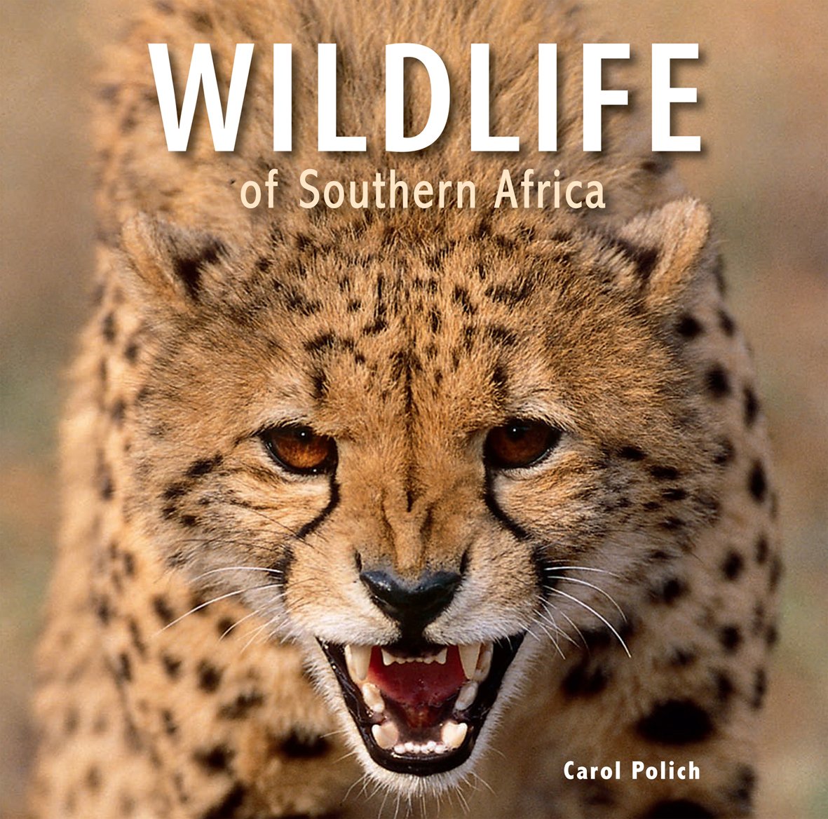 Wildlife of Southern Africa Mathematics