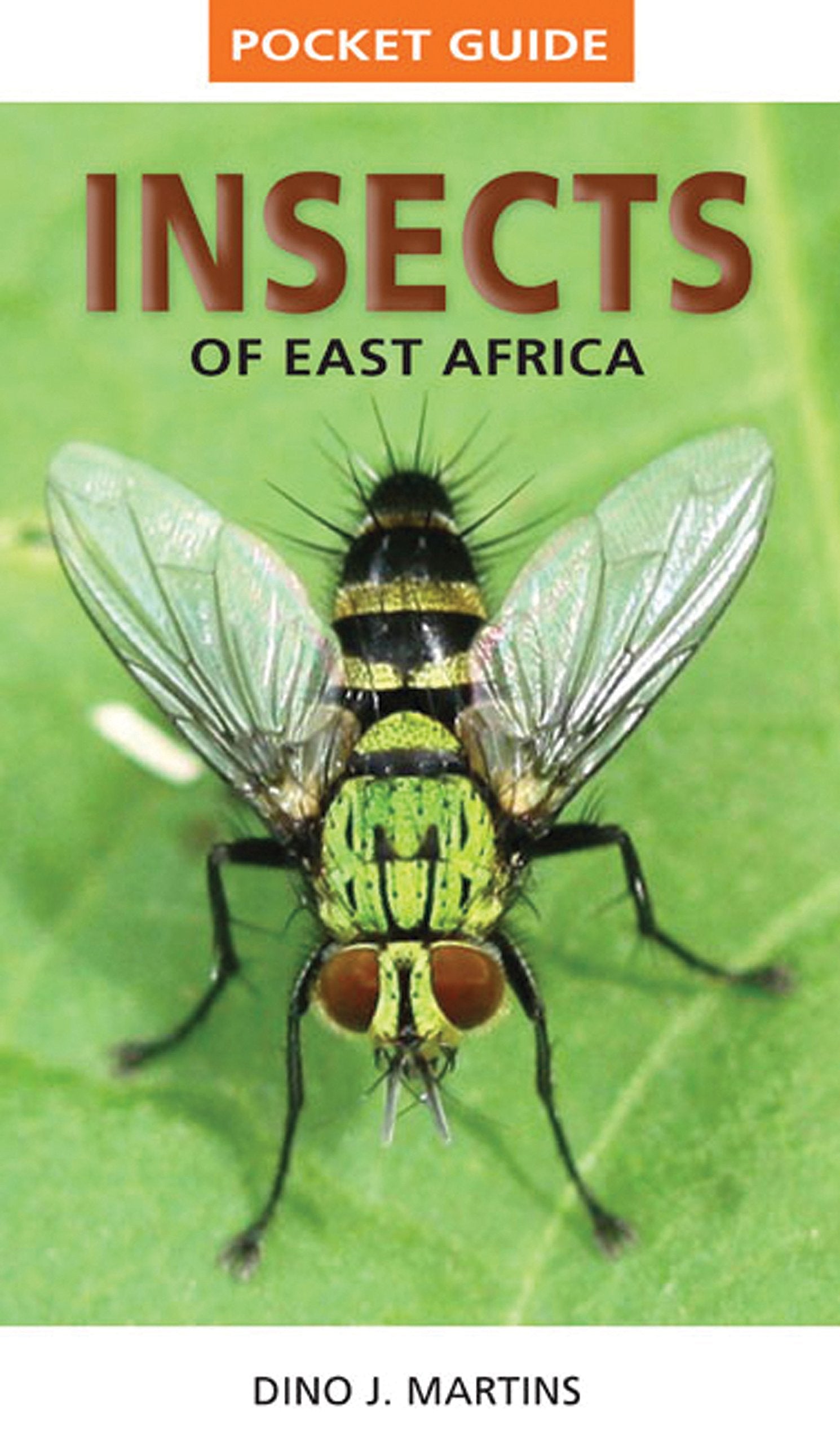 Pocket Guide: Insects of East Africa Mathematics