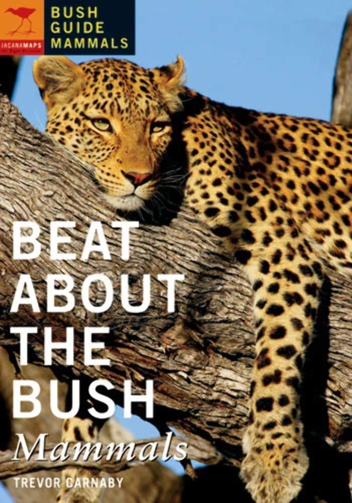 Beat About the Bush: Mammals (Bush Guide Mammals) Mathematics
